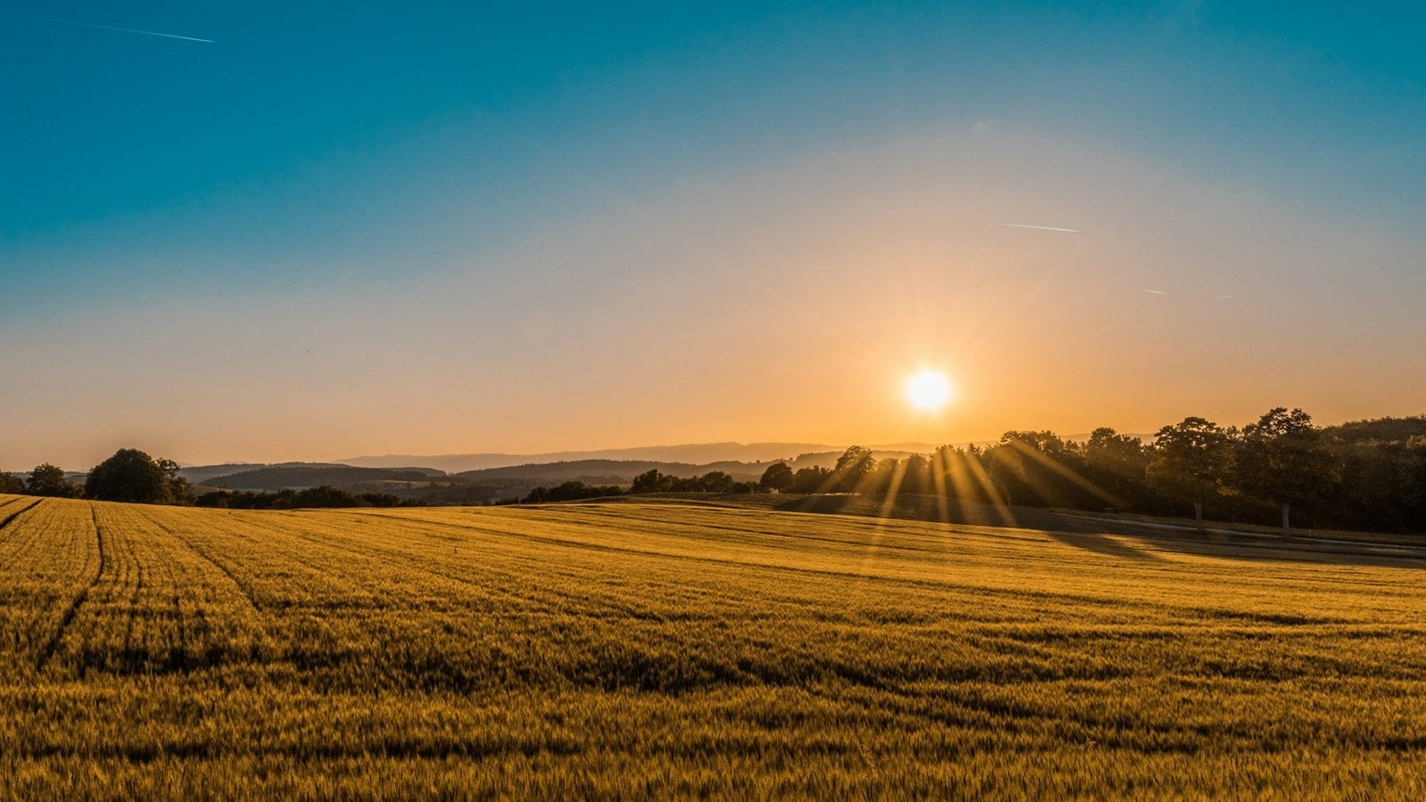 Our Farms
